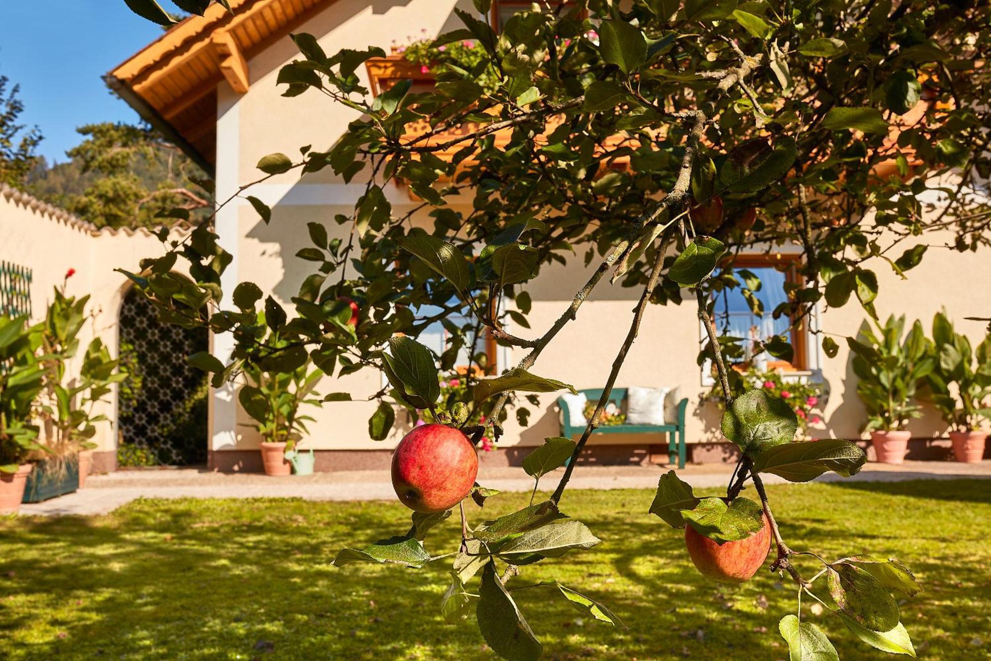 Ferienhaus Zur Maultrommel Molln Extérieur photo
